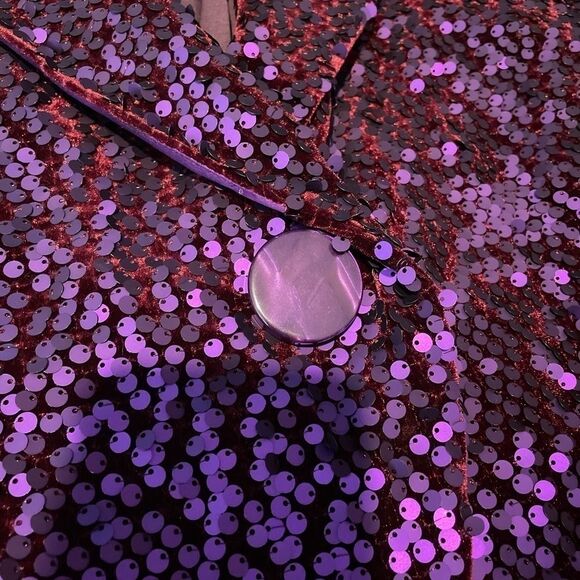 Hilton Hollis Sequin Silk Velvet Blend Jacket size 6 - Picture 5 of 12